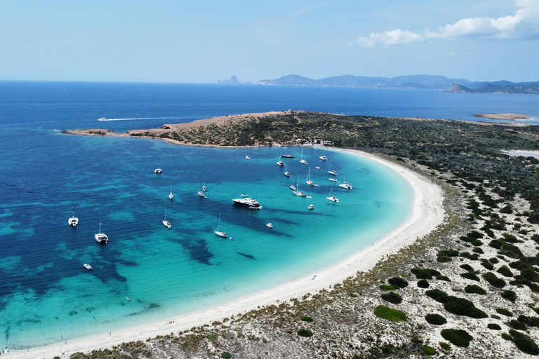 Da Ibiza: Punti di forza dell&#039;isola e tour privato in barca di Formentera