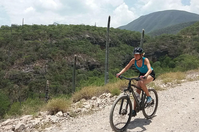 Oaxaca: Cascadas de Apoala 1 Tag Rad- und WandertourPreis ab 4 Personen und aufwärts