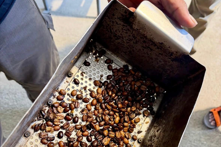Boquete: Geisha Coffee Plantation Tour with Tasting
