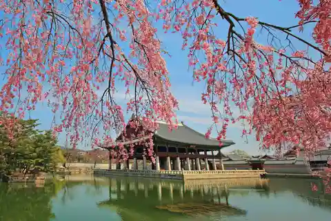 Seoul: Gyeongbok-palasset, N Seoul Tower (med taubane)