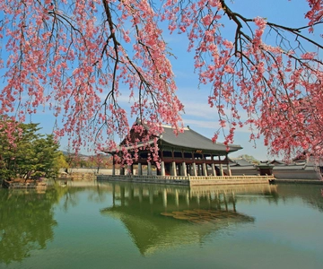 Séoul : Palais Gyeongbok, N Seoul Tower (avec téléphérique)