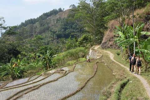 Avventura al Tempio di Selogriyo: trekking tra risaie e rafting sul fiume EloAvventura al tempio di Selogriyo: trekking nella risaia e rafting sul fiume Elo