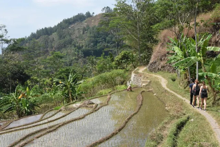 Avventura al Tempio di Selogriyo: trekking tra risaie e rafting sul fiume EloAvventura al tempio di Selogriyo: trekking nella risaia e rafting sul fiume Elo