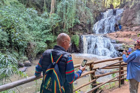 Nairobi: Karura Forest & Waterfall Guided Nature Excursion.
