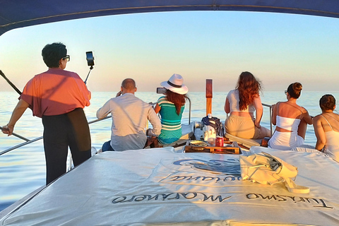 Estepona : Excursion en bateau à la recherche de dauphins avec boissons et collations