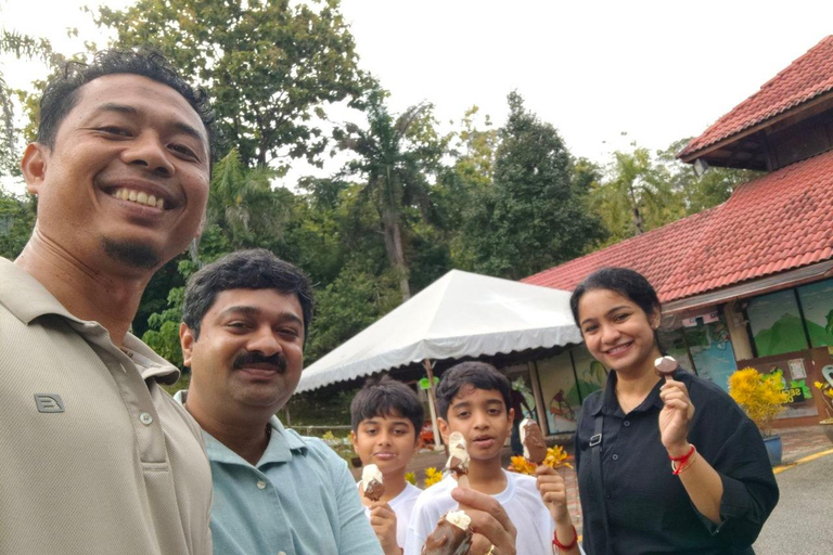 Langkawi Private Car with Driver for an 8 Hour Tour & Pickup