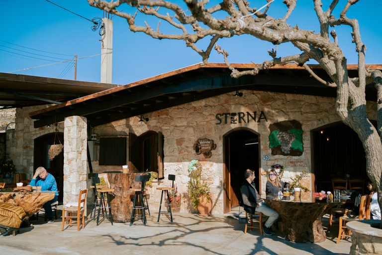 Myths, Waves & Wine: Cyprus in a Day