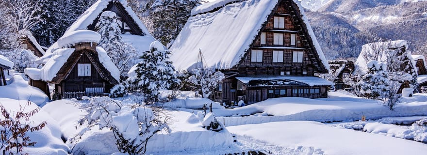 Au départ de Nagoya : Excursion d'une journée à Gujo, Hida Takayama et Shirakawa-go