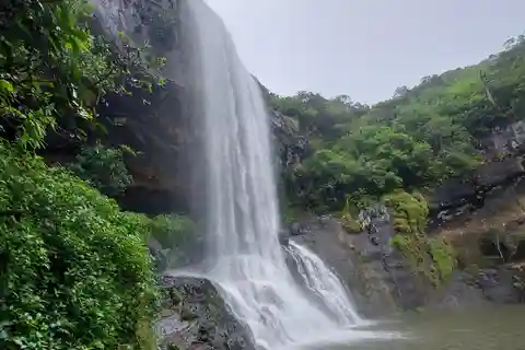 Descente en rappel/Canyoning