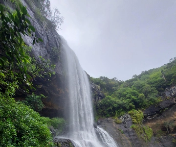 Descente en rappel/Canyoning
