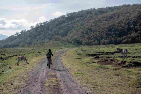 Nairobi: Hell’s Gate, Crescent Island, & Raptor Center Tour