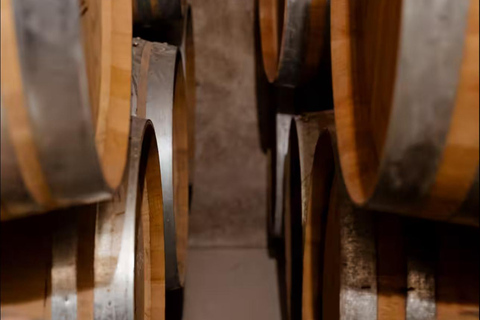 Langhe & Monferrato: Vineyard Tour and Wine Tasting