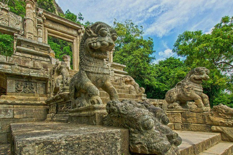 Sigiriya: Minneriya Safari, Yapahuwa Rock & Colombo Drop-off Sigiriya: Minneriya Safari, Yapahuwa Rock & Negombo Drop-off