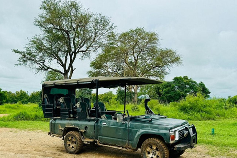 from Zanzibar: 3-Days Mikumi national park Safari with Train