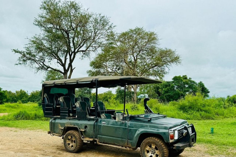 from Zanzibar: 3-Days Mikumi national park Safari with Train