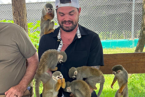 Puerto Plata: Saimiri Monkey Sanctuary, Exotic Flora, and Tropical Oasis