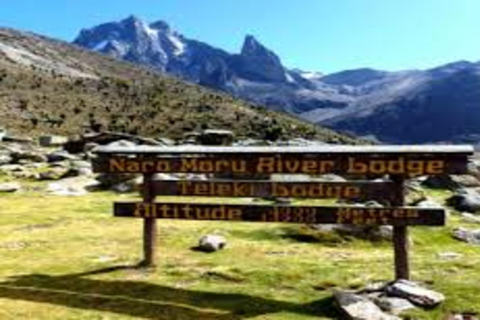 From Nairobi: Mount Kenya Day Tour with Lunch