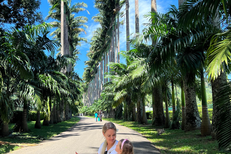 Kandy privet day tour z pinnawala i plantacją herbatyZaczynając od obszaru Negombo