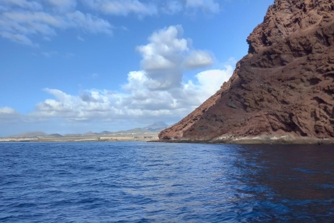 Tenerife south: safari with luxury boat , animal encounters