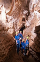 Raglan, Guided Cave Adventure with Glow Worms - Housity