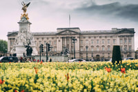 Westminster Fun Team Building Interactive Treasure Hunt - Housity