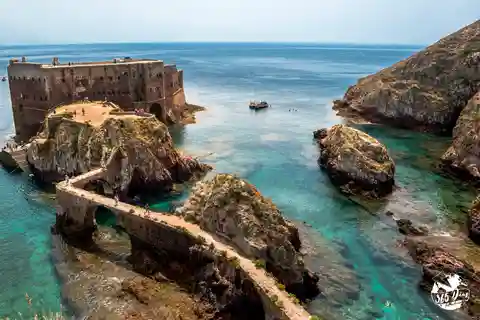Porto: Berlengas Islands, Óbidos Castle and Peniche Day Trip