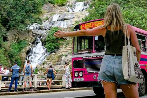 Ella: Ella Day Tour NineArch Bridge with Expert Female Guide Ella tour from Colombo, Negombo, Mt lavinia, Kalutara