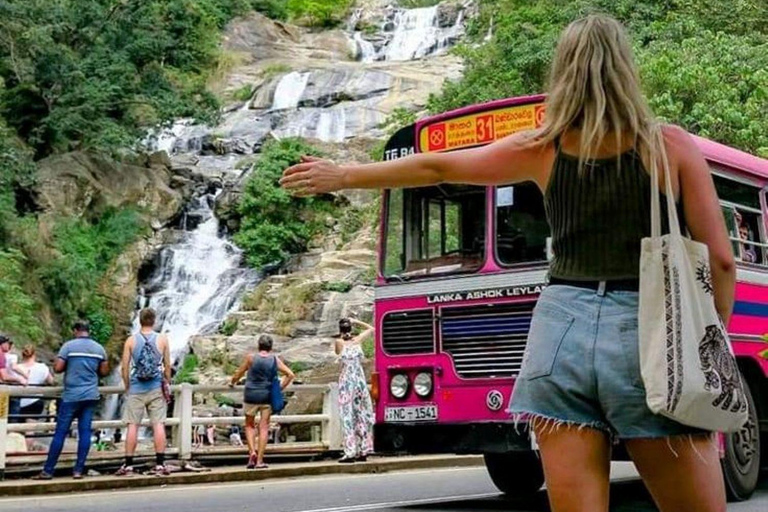 Ella: Ella Day Tour NineArch Bridge with Expert Female Guide Ella tour from Colombo, Negombo, Mt lavinia, Kalutara
