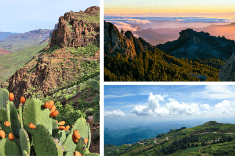 Grande Canarie : vidéo VIP PRIVÉE en drone 4K du nord de l'îleGrande Canarie : visite vidéo VIP privée en drone 4K