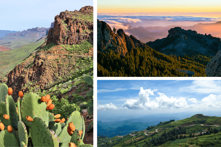 Grande Canarie : vidéo VIP PRIVÉE en drone 4K du nord de l'îleGrande Canarie : visite vidéo VIP privée en drone 4K