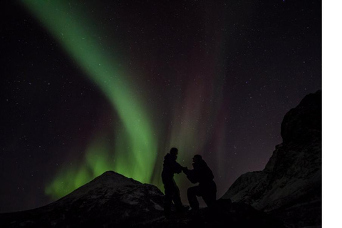 Tromsö: Nordlicht-Verfolgungsjagd im großen Bus mit kostenlosen Fotos