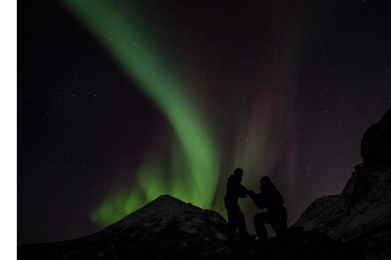 Tromsö: Norrsken stor bussjakt med gratis foton