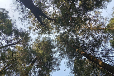 Cidade do México: Caminhada matinal no Mirador Coconetla