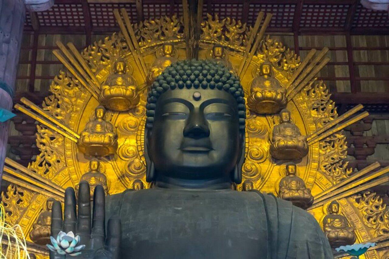 From Kyoto/Osaka: Nara Private Tour with Guide and Vehicle Minivan (Up to 4 PAX) from Osaka