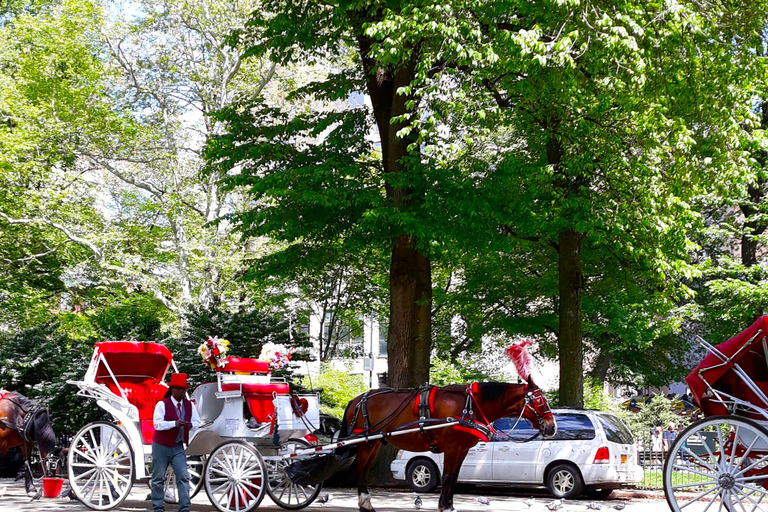 Spacer po Central ParkuCentral Park Promenade