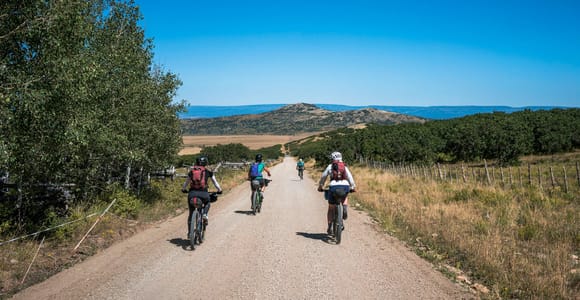 Lecce: E-bike tour between the sea and the countryside with lunch and olive oil tasting