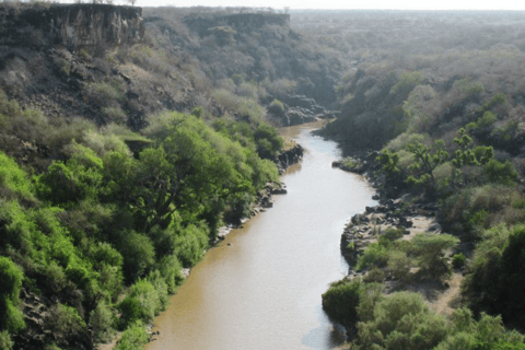 From Addis Ababa: 3-Day Awash Game Drive Safari Tour 3 Days Awash NP Game drive Safrai Tour