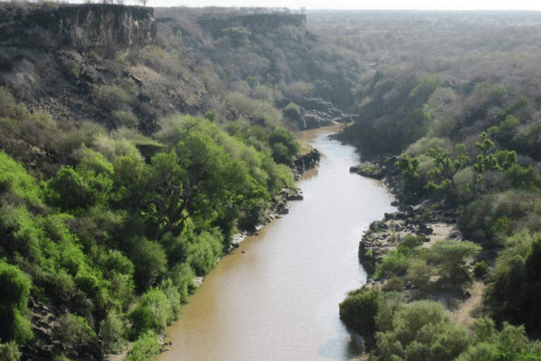 From Addis Ababa: 3-Day Awash Game Drive Safari Tour 3 Days Awash NP Game drive Safrai Tour