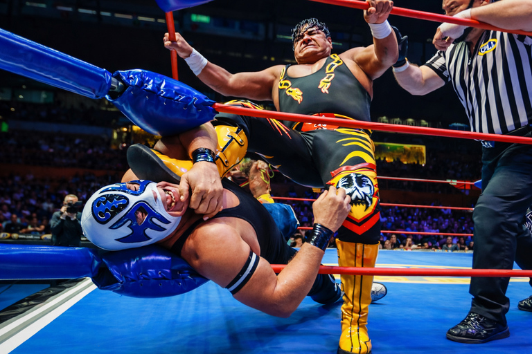 Mexico City: Lucha Libre and Tacos with Transportation Lucha Libre Night like a Local + Tacos at a Hidden Taquería