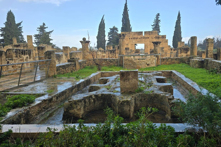 North of Africa: Bizerte, Cap Angela and Ichkeul Day Trip From Sousse/Monastir : North of Africa Tour Pick Up Included