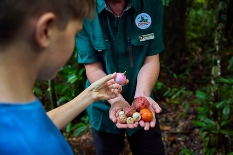 Koe Baai: Toegangsbewijs Daintree Discovery Centre