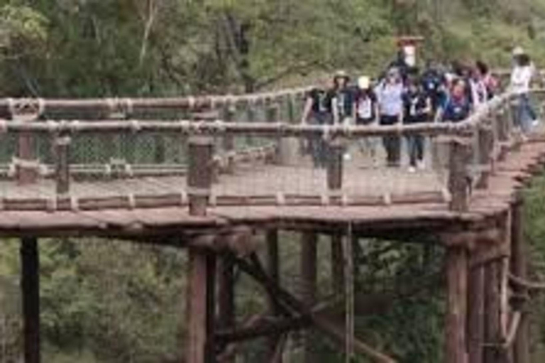 Nairobi : visite d&#039;une demi-journée Safari Walk