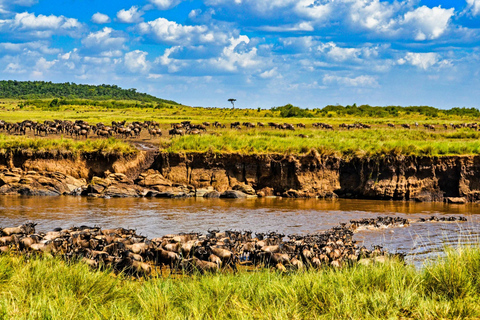5-Day Masai Mara, Lake Nakuru, and Amboseli Tour
