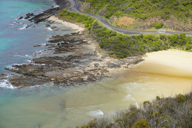 2-Day Private Premium Great Ocean Road Tour