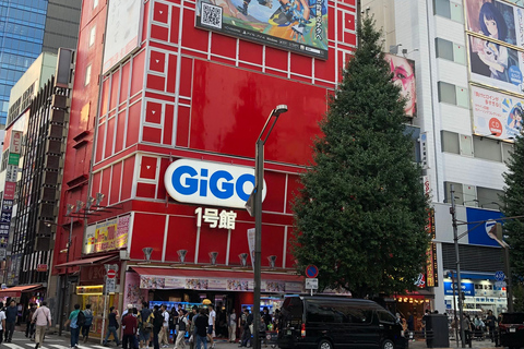 Tokyo: Akihabara Otaku Private Custom Tour with Pickup