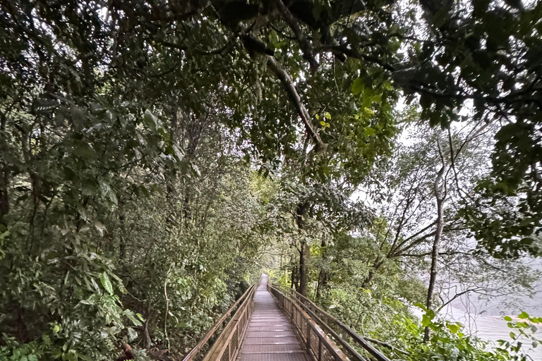 Iguassu Falls: Private Tour Argentina side