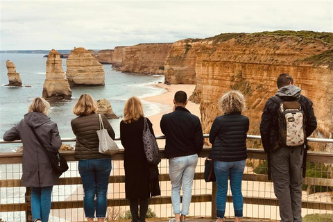 Great Ocean Road Boutique Minibus Reverse Tour & 12 Apostles Minibus Meeting Point Pickup (Max 23 Guests)