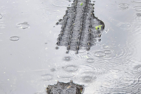 Da Miami: Tour delle Everglades con 90 minuti in barca