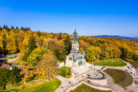 Excursión privada de un día desde Frankfurt al valle del Rin y regreso