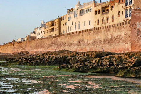 From Marrakech: Essaouira Day Trip with Free Time to Explore From Marrakech: Private Day Trip to Essaouira